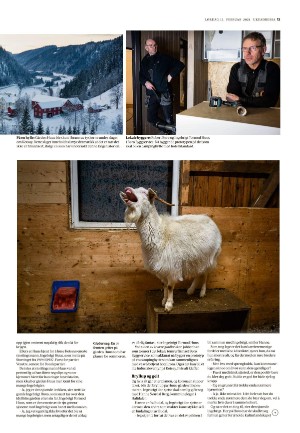 adresseavisen_uka-20210213_000_00_00_013.pdf