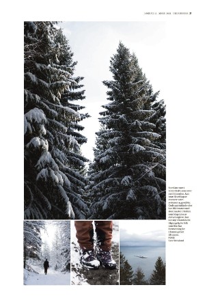 adresseavisen_uka-20210313_000_00_00_021.pdf