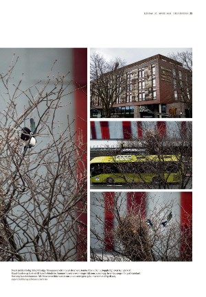 adresseavisen_uka-20210327_000_00_00_025.pdf