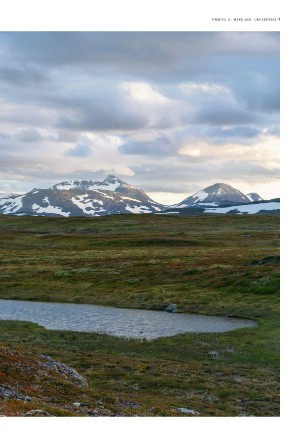 adresseavisen_uka-20210331_000_00_00_007.pdf