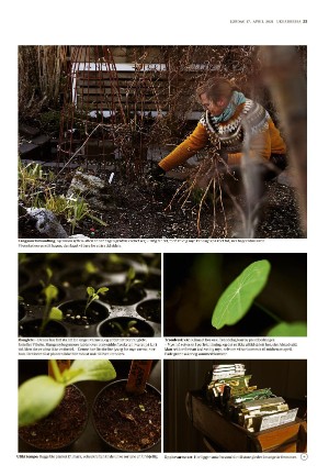 adresseavisen_uka-20210417_000_00_00_023.pdf