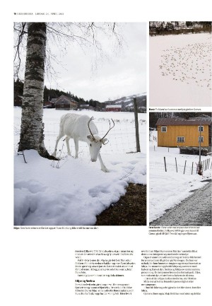 adresseavisen_uka-20210424_000_00_00_016.pdf