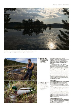 adresseavisen_uka-20210612_000_00_00_009.pdf