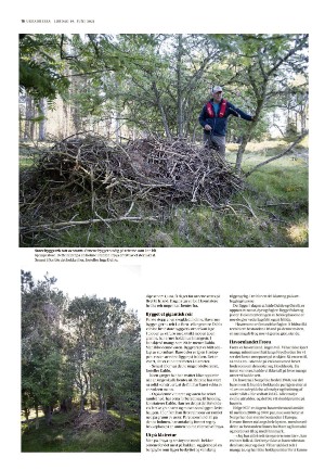adresseavisen_uka-20210619_000_00_00_016.pdf