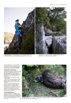 adresseavisen_uka-20210619_000_00_00_017.pdf