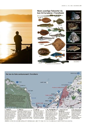 adresseavisen_uka-20210710_000_00_00_013.pdf