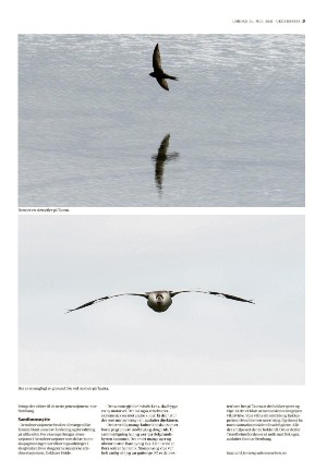 adresseavisen_uka-20210731_000_00_00_021.pdf