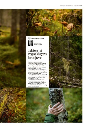 adresseavisen_uka-20211030_000_00_00_017.pdf