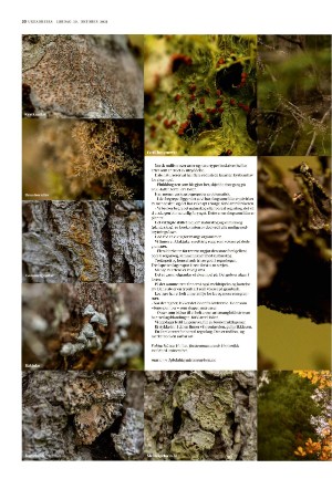 adresseavisen_uka-20211030_000_00_00_020.pdf