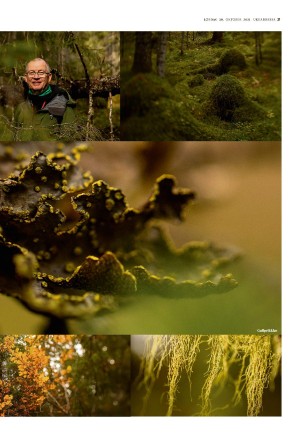 adresseavisen_uka-20211030_000_00_00_021.pdf