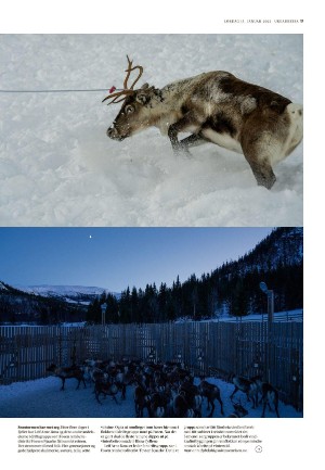 adresseavisen_uka-20220115_000_00_00_017.pdf