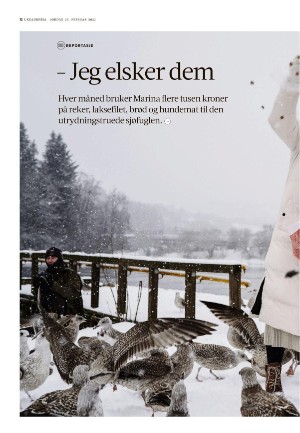 adresseavisen_uka-20220226_000_00_00_012.pdf