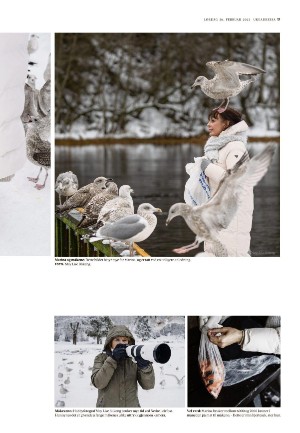 adresseavisen_uka-20220226_000_00_00_017.pdf