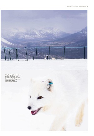 adresseavisen_uka-20220507_000_00_00_019.pdf