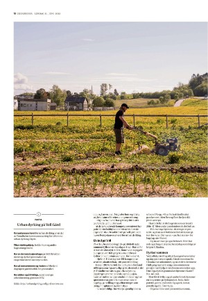 adresseavisen_uka-20220611_000_00_00_010.pdf