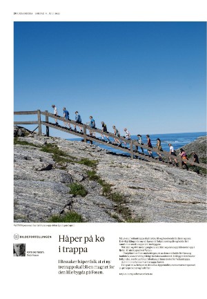 adresseavisen_uka-20220709_000_00_00_024.pdf
