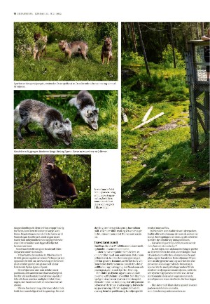 adresseavisen_uka-20220723_000_00_00_010.pdf
