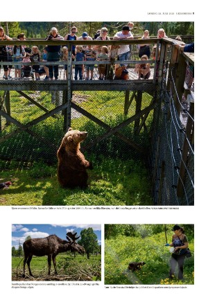 adresseavisen_uka-20220723_000_00_00_011.pdf