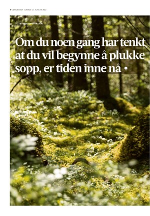 adresseavisen_uka-20220827_000_00_00_006.pdf