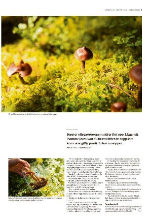 adresseavisen_uka-20220827_000_00_00_009.pdf