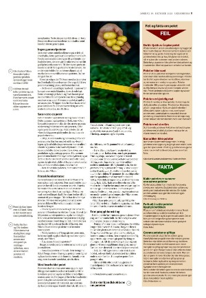 adresseavisen_uka-20221029_000_00_00_011.pdf