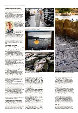 adresseavisen_uka-20221105_000_00_00_016.pdf