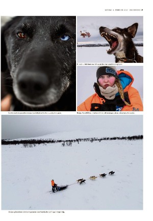 adresseavisen_uka-20230204_000_00_00_021.pdf