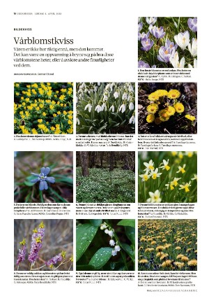 adresseavisen_uka-20230401_000_00_00_016.pdf