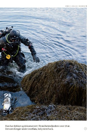 adresseavisen_uka-20230405_000_00_00_015.pdf