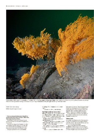 adresseavisen_uka-20230405_000_00_00_016.pdf