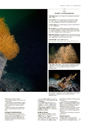 adresseavisen_uka-20230405_000_00_00_017.pdf