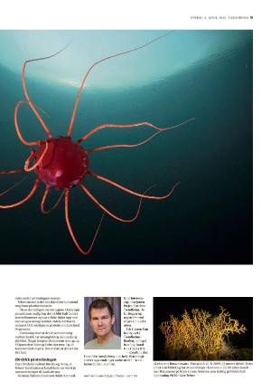 adresseavisen_uka-20230405_000_00_00_019.pdf