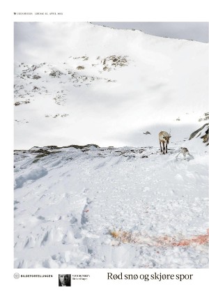 adresseavisen_uka-20230415_000_00_00_016.pdf