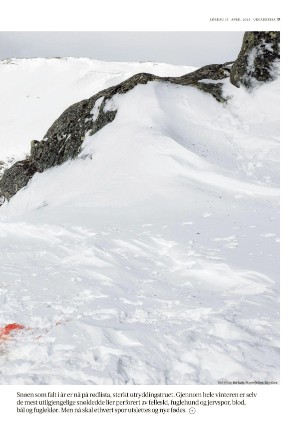 adresseavisen_uka-20230415_000_00_00_017.pdf