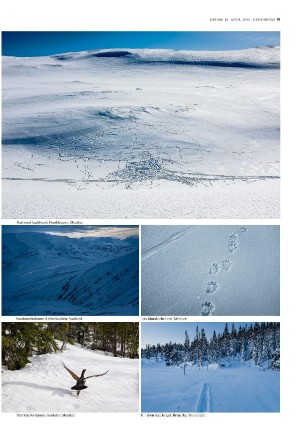 adresseavisen_uka-20230415_000_00_00_019.pdf