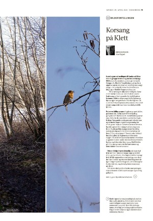 adresseavisen_uka-20230429_000_00_00_019.pdf