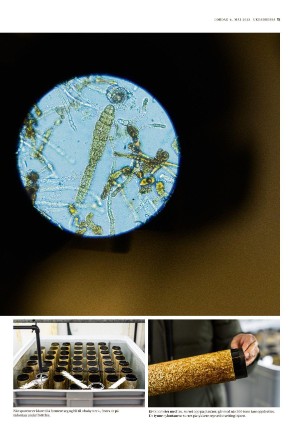 adresseavisen_uka-20230506_000_00_00_015.pdf