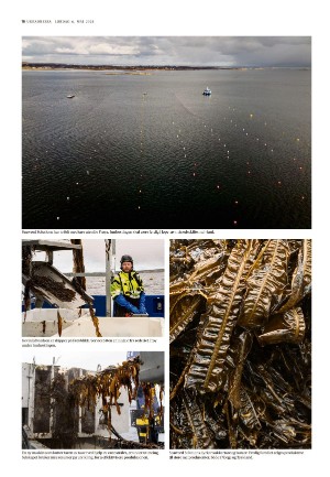 adresseavisen_uka-20230506_000_00_00_016.pdf