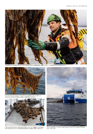 adresseavisen_uka-20230506_000_00_00_017.pdf