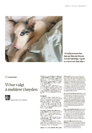 adresseavisen_uka-20230610_000_00_00_003.pdf