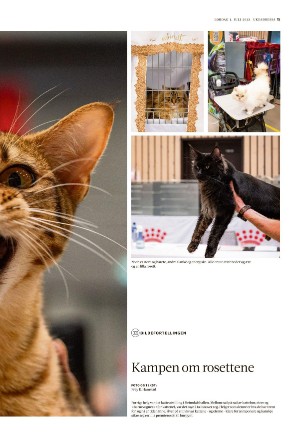 adresseavisen_uka-20230701_000_00_00_015.pdf