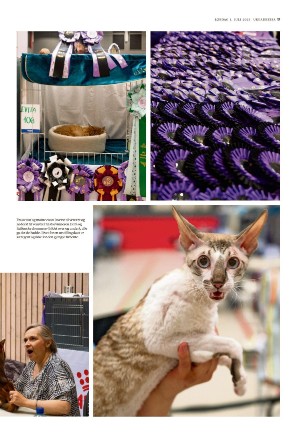 adresseavisen_uka-20230701_000_00_00_017.pdf