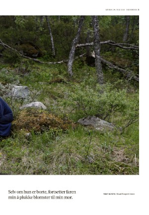 adresseavisen_uka-20230729_000_00_00_005.pdf