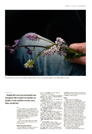 adresseavisen_uka-20230729_000_00_00_007.pdf