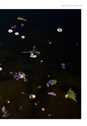 adresseavisen_uka-20230729_000_00_00_011.pdf