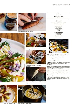 adresseavisen_uka-20230729_000_00_00_029.pdf