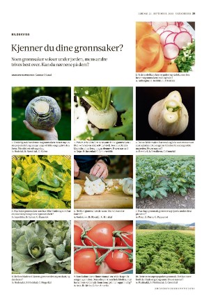 adresseavisen_uka-20230923_000_00_00_039.pdf