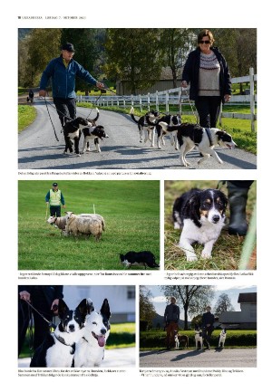 adresseavisen_uka-20231007_000_00_00_018.pdf