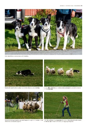 adresseavisen_uka-20231007_000_00_00_019.pdf