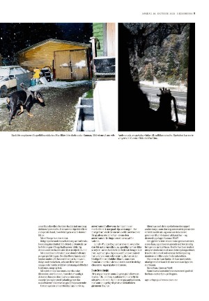 adresseavisen_uka-20231028_000_00_00_011.pdf